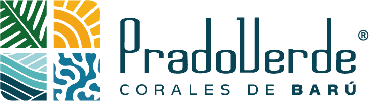 Corales de Barú